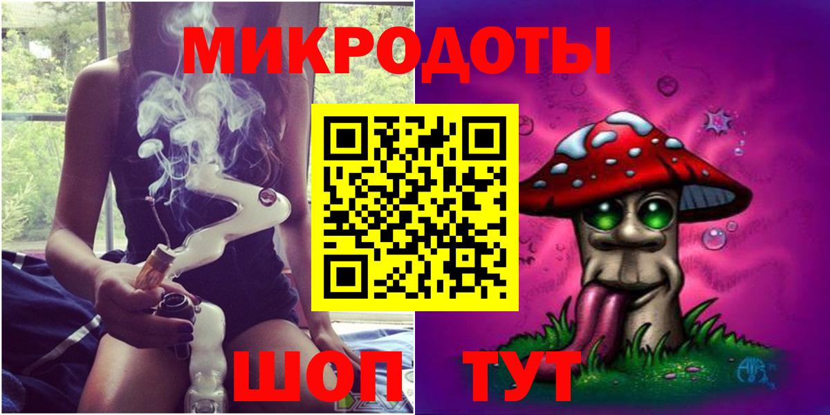 Псилоцибиновые грибы Psilocybe Сибай