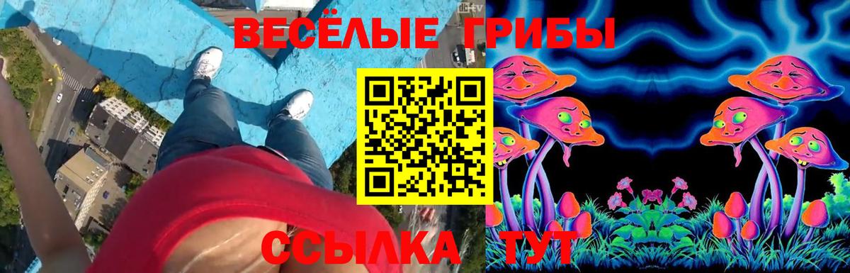 Галлюциногенные грибы Cubensis  Вход с VPN  Сибай 